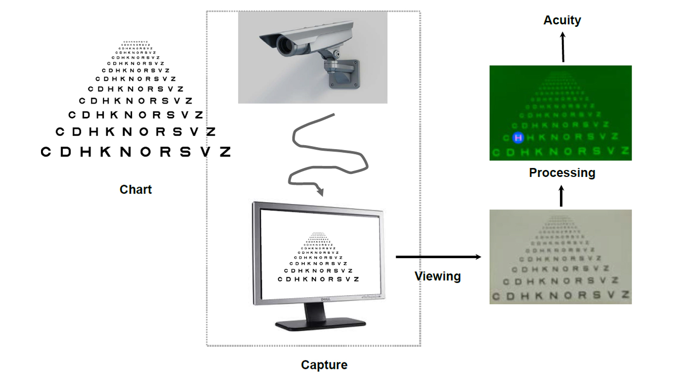 Video Acuity Measurement System